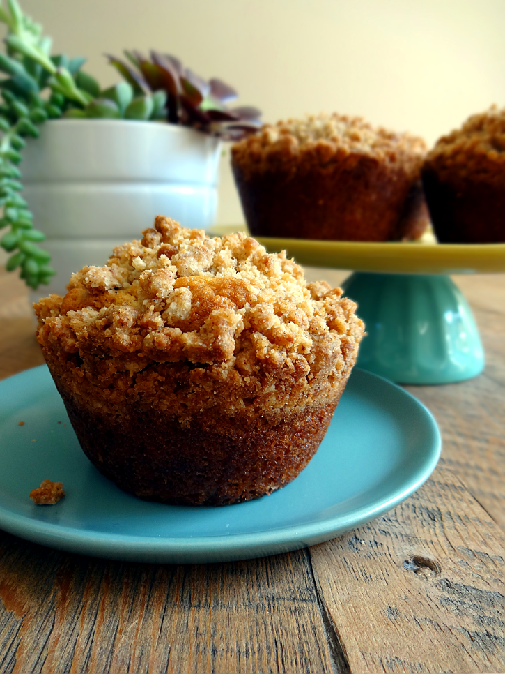 Cinnamon Crumb Coffee Cake Muffins - Two of a Kind