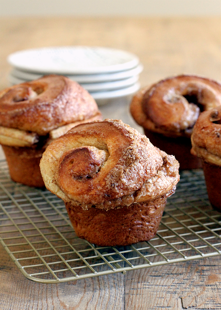 Brioche Cinnamon Rolls_close