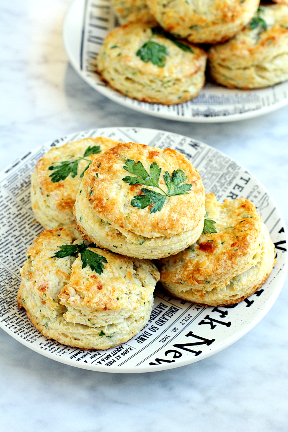 Smoker biscuits new arrivals