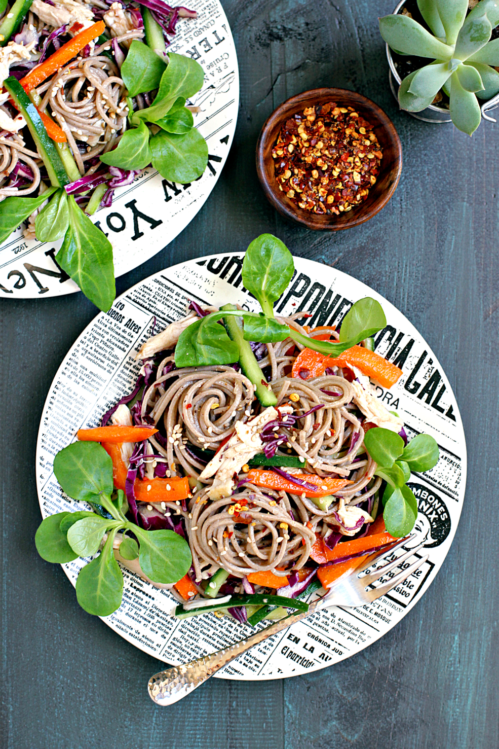 Soba Noodle Salad with Chicken and Vegetables_top