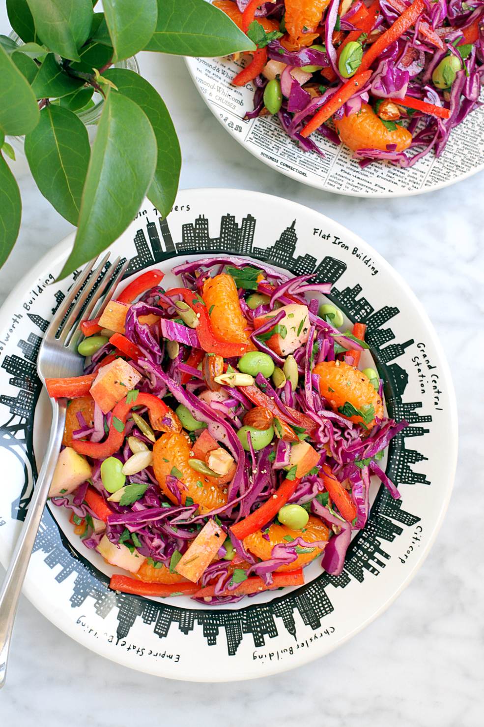 Red Cabbage Salad with Honey-Lemon Dressing - Two of a Kind