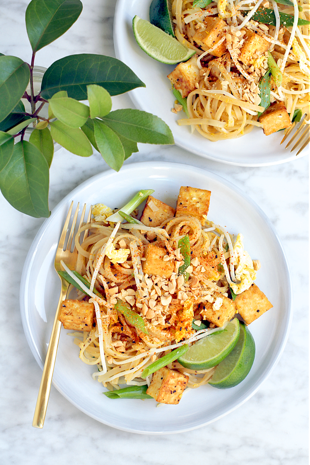 Pad Thai with Tofu - Two of a Kind